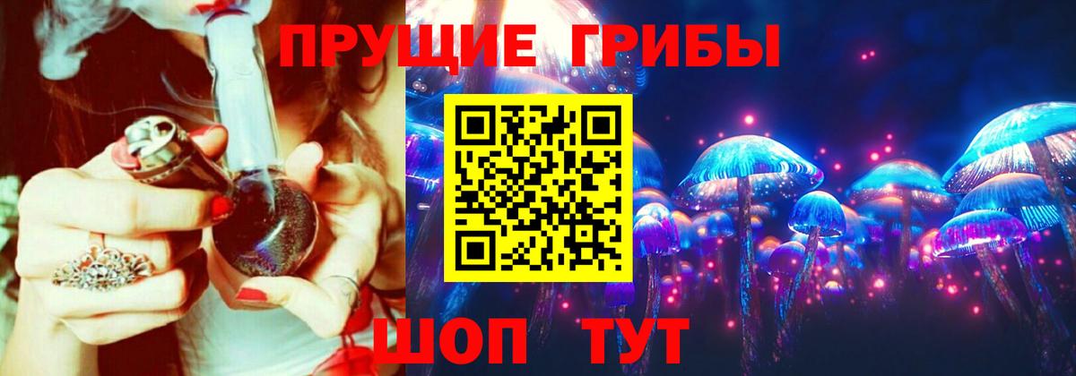 Псилоцибиновые грибы Psilocybe  Вход с VPN  Лесосибирск 