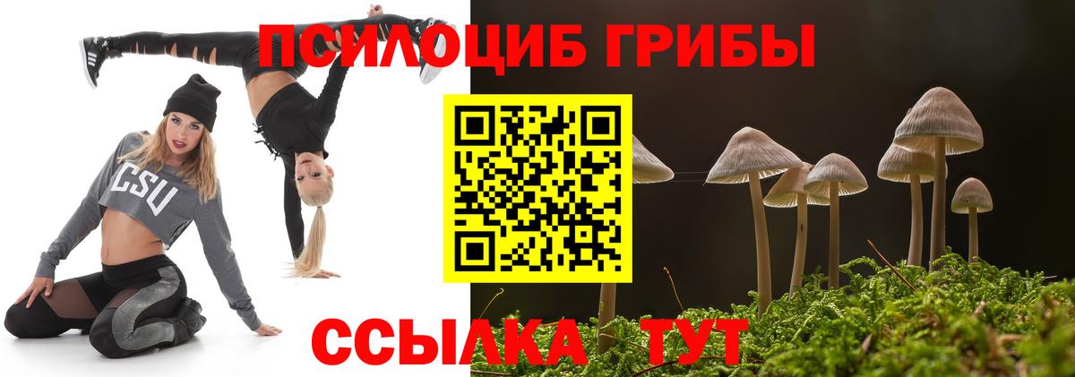 Галлюциногенные грибы Magic Shrooms Лесосибирск