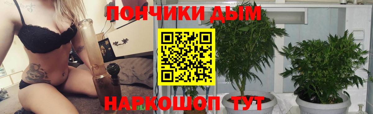 Шишки марихуана Amnesia Лесосибирск